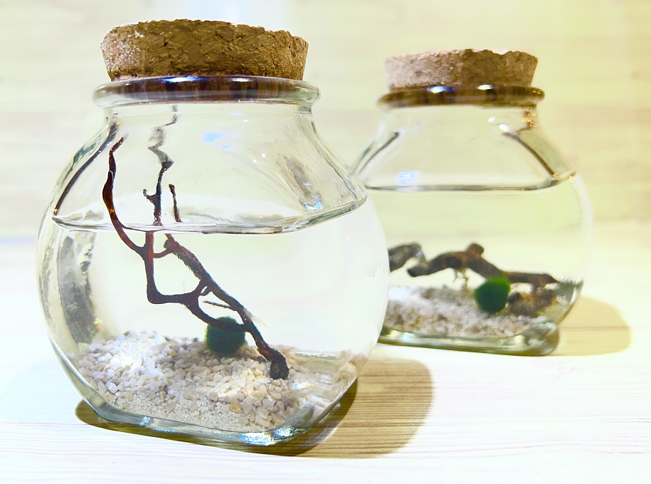 記事サムネイル